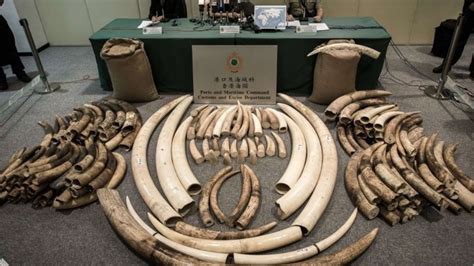 what kinds of illegal ivory are in china